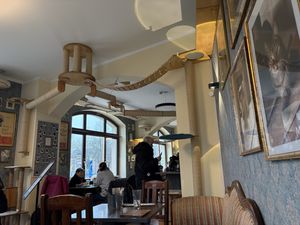 Cat autobahn  at Katzentempel - Leipzig Ost in Leipzig