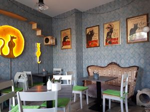 Einrichtung at Katzentempel - Leipzig Ost in Leipzig