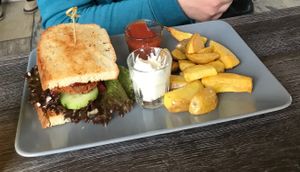 The fries are very well seasoned at Katzentempel - Leipzig Ost in Leipzig