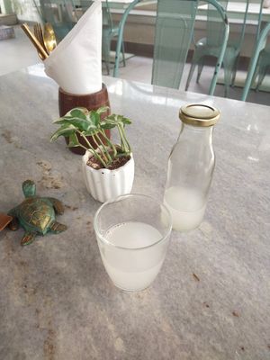 Some probiotic tea at Loving Earth Cafe in Fort Kochi