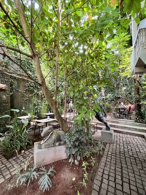 Courtyard   at Loving Earth Cafe in Fort Kochi