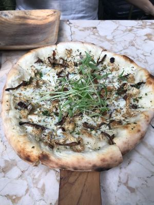 fungi fab at Loving Earth Cafe in Fort Kochi