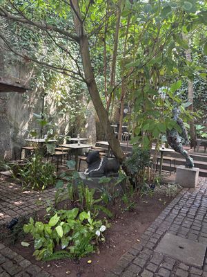   at Loving Earth Cafe in Fort Kochi