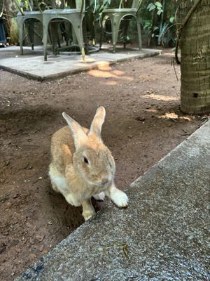   at Loving Earth Cafe in Fort Kochi