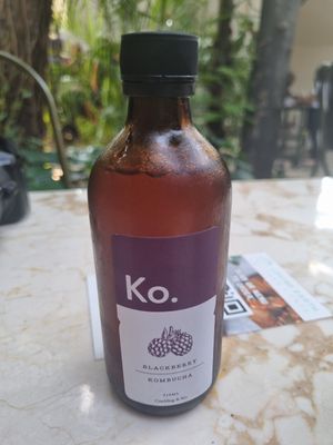 Kombucha at Loving Earth Cafe in Fort Kochi