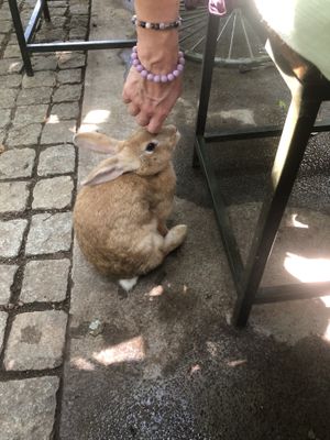   at Loving Earth Cafe in Fort Kochi