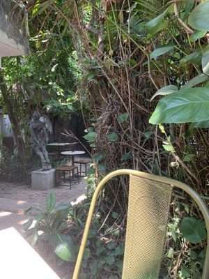 Such a nice spacee  at Loving Earth Cafe in Fort Kochi