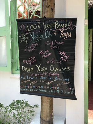 100% plant based at Loving Earth Cafe in Fort Kochi