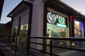 look for the tree of life logo at Pura Vida Vegan Store in Chihuahua