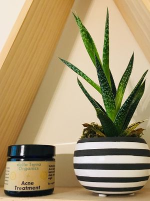 Daily moisturizer combats Acne without drying the skin (dry skin is likely to overproduce oils and cause more acne!). at Della Terra Organics in Brambleton