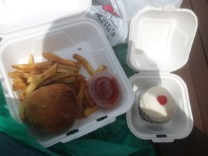 Vegan burger, sweet potato fries and cupcake at Strong Hearts in Syracuse