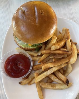   at Strong Hearts in Syracuse