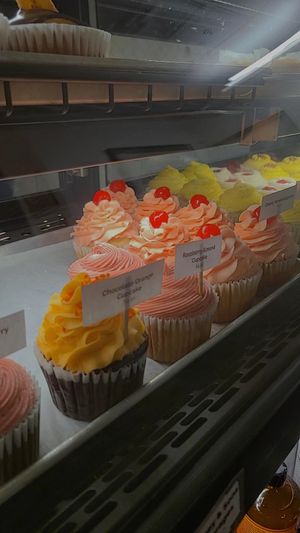  at Strong Hearts in Syracuse