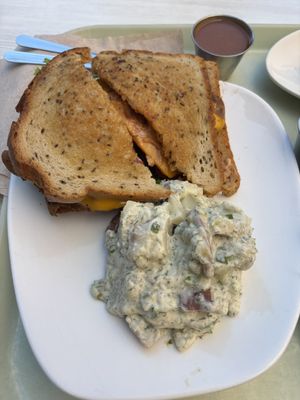 cajun seitan sandwich, potato salad  at Strong Hearts in Syracuse