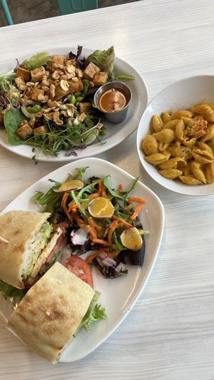 Thai Tofu salad, Sweet Sassy Molassy sandwich with a green salad side, and Mac N Cheese.  at Strong Hearts in Syracuse