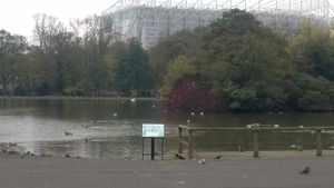Tower cafe views  at The Tower Cafe in Newcastle Upon Tyne