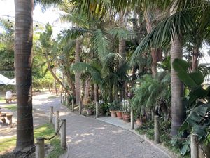 Entry  at Padaro Beach Grill in Carpinteria