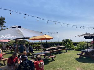 Seating - ocean behind hedge  at Padaro Beach Grill in Carpinteria