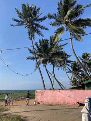 Great Vie at The Container Beach Restaurant in Negombo