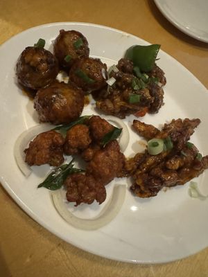 Chinese starters   at Sagar Vegan & Vegetarian Restaurant - West End in London