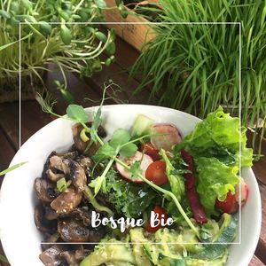 The perfect zuchini noodles with avocado pesto at Bosque Bio in Almada