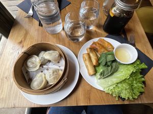 Springrolls and dumplings   at Mian Fan in Paris