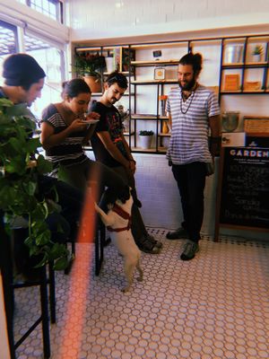 Pet Friendly   at Gardeno in Tijuana