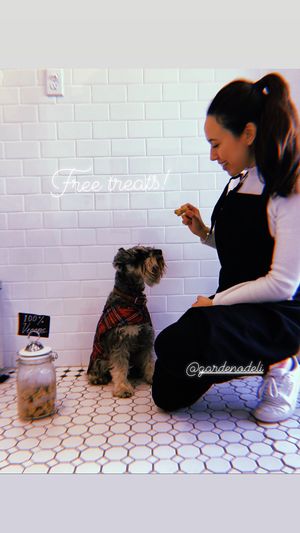 Pet Friendly at Gardeno in Tijuana