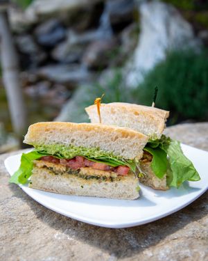 Best Darn Sandwich at Karma Café in Asheville