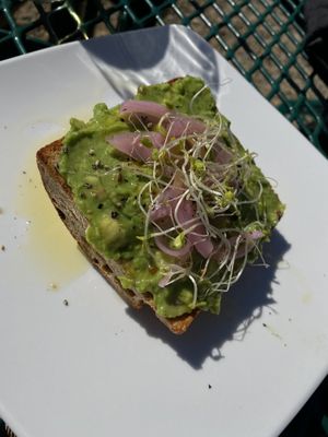 Avo toast  at Karma Café in Asheville
