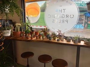 Plants inside cafe and seating  at The Organic Press in Toronto