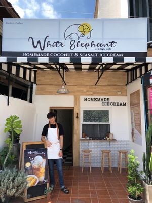 White elephant  at White Elephant in Chiang Mai