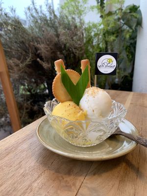 Jelly (biscuits not gluten free) at White Elephant in Chiang Mai