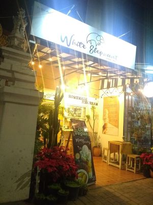 The place at White Elephant in Chiang Mai