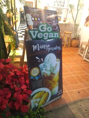 Mango paradise at White Elephant in Chiang Mai