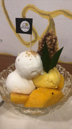 Mango dessert! at White Elephant in Chiang Mai