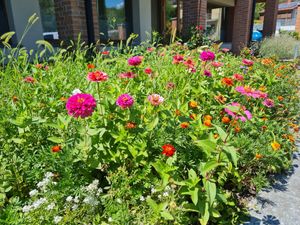  at Agriturismo Teresa delle Fragole in Vigano