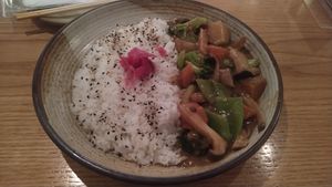 Kare rice vegan at Hirá Ramen Izakaya in Sao Paulo