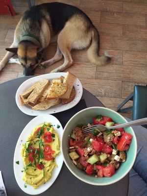 Fava, Dakos salad and a cute companion. at Tarantula in Thessaloniki