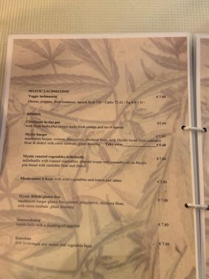 Menu at Mystic Vegan in Athens