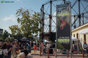 Banners at Vegan Life NGO in Athens