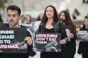  at Vegan Life NGO in Athens