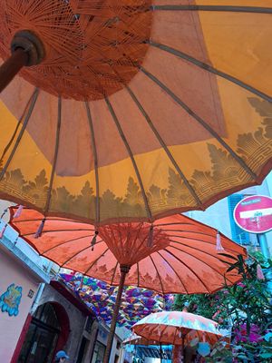  at Indian Lounge in Nice