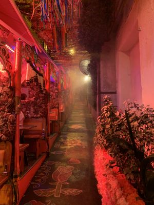   at Indian Lounge in Nice