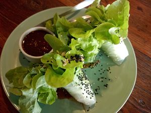 Sommerrolls at Asa Vegan Kitchen and Studio in Chiang Mai