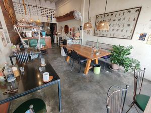  at Asa Vegan Kitchen and Studio in Chiang Mai