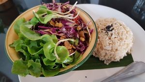 Tea leaf salad. Large portion and delicious. at Asa Vegan Kitchen and Studio in Chiang Mai
