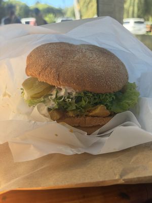   at The Fat Tui in Marahau