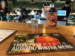 The cover of the full color picture menu at Tribe Organic - Solana Center in Beijing