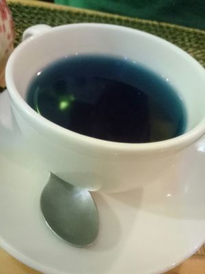Butterfly pea flower tea at Taste from Heaven in Chiang Mai